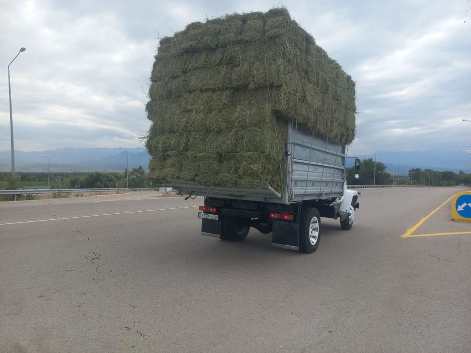 Сено люцерна тюках