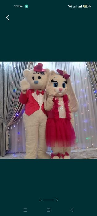 Продажа анимационных костюмов