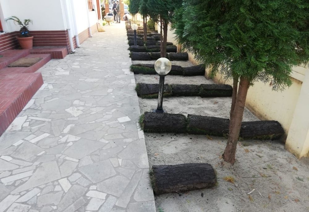 Producem gazon rulou 24 de lei m2. Transport și montaj inclus în preț