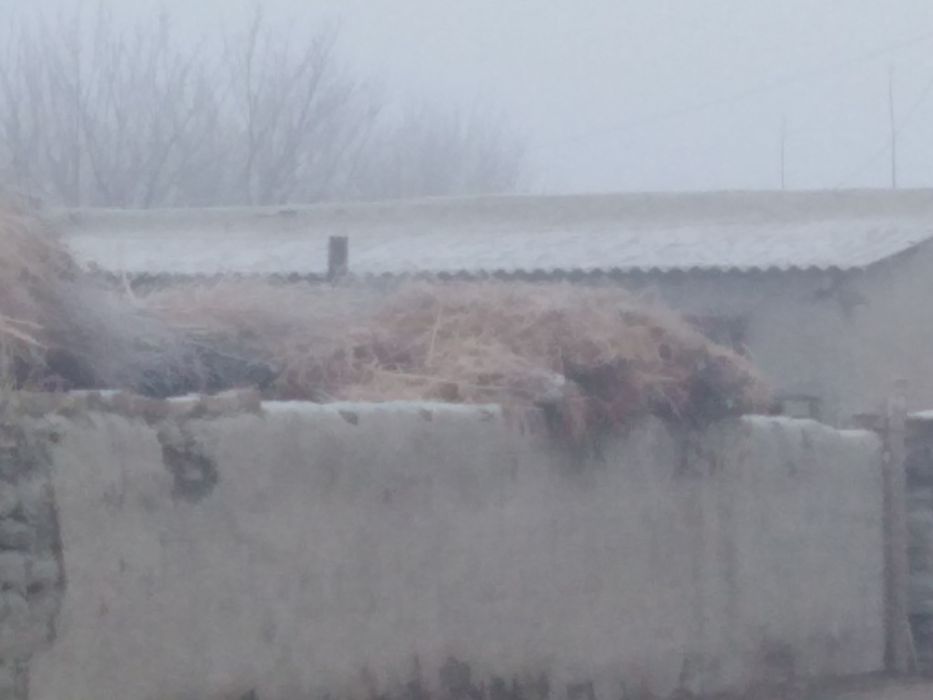 НЕДВИЖИМОСТЬ уй сотилади