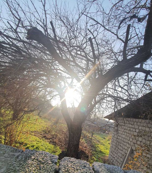 СВОЯ земля 6 соток с Кадастром. М Улугбек р-н за парком Нов Узбекистан