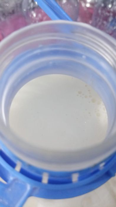 Продам домашнее молоко, творог,сменату,айран