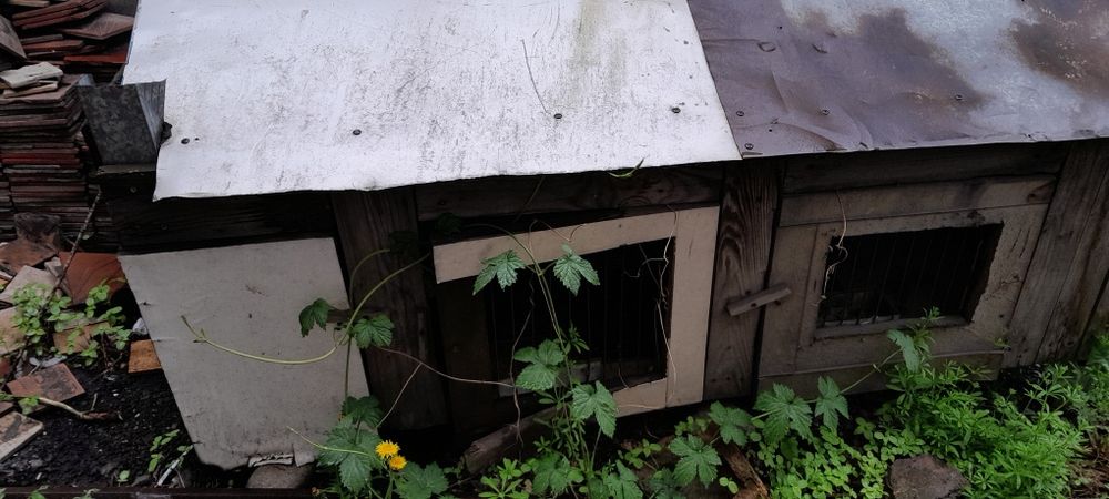 Дом для Кроликов