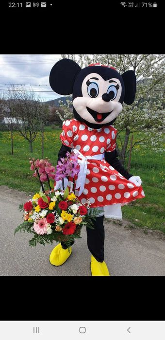 Vand 4 costume pt petreceri