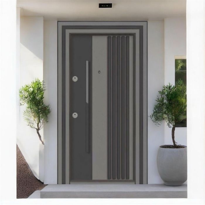 Usa metalica dubla de exterior