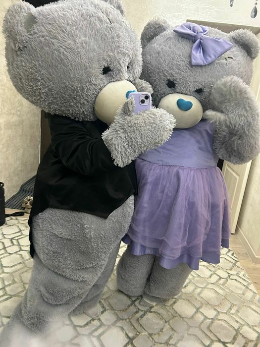 Палатка Тедди Шар