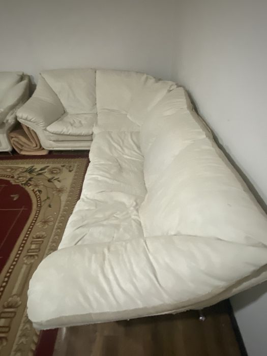 Отдам  Бесплатно