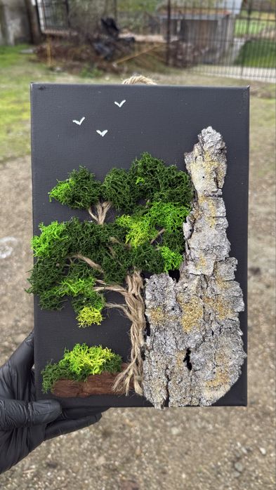 Tablou licheni 20x30