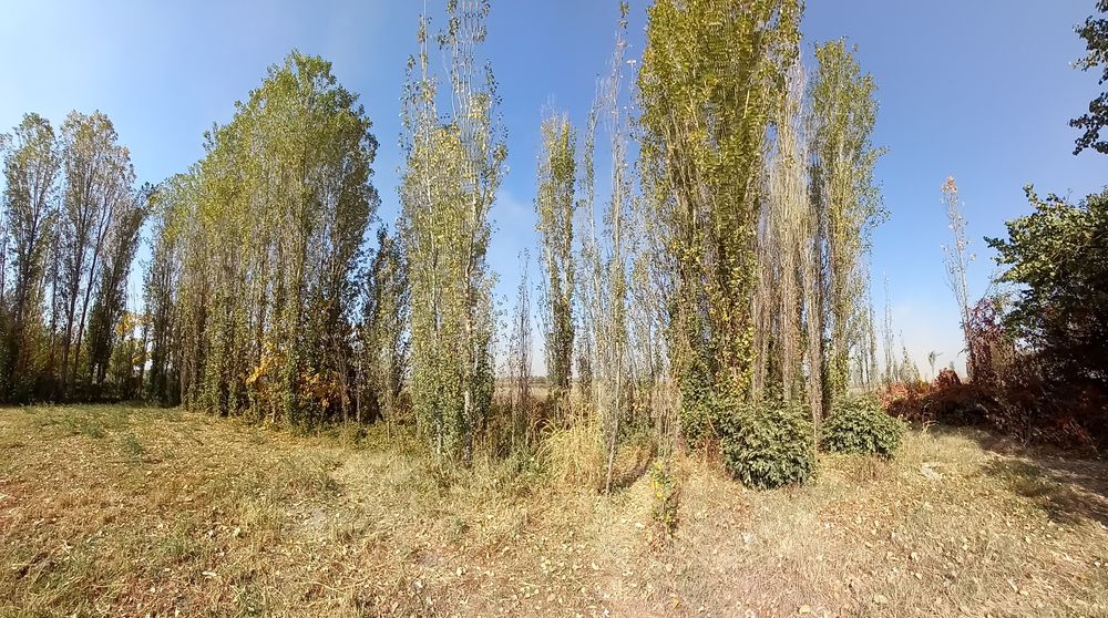 Прадаётса деревя,тераклар сотилади