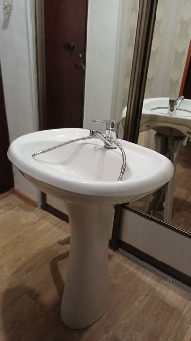 Раковина тюльпан