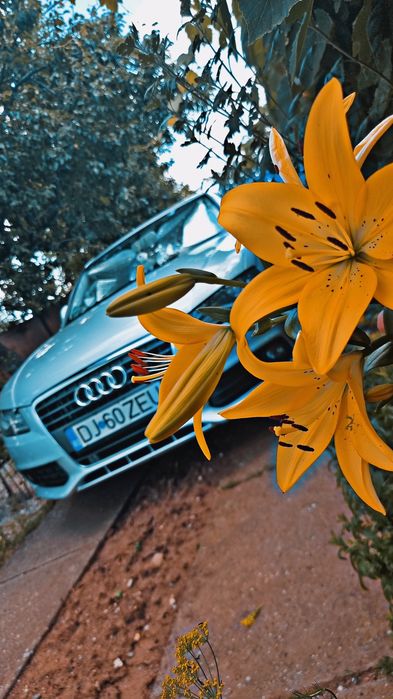 Audi a4 B8 2.0 benzina