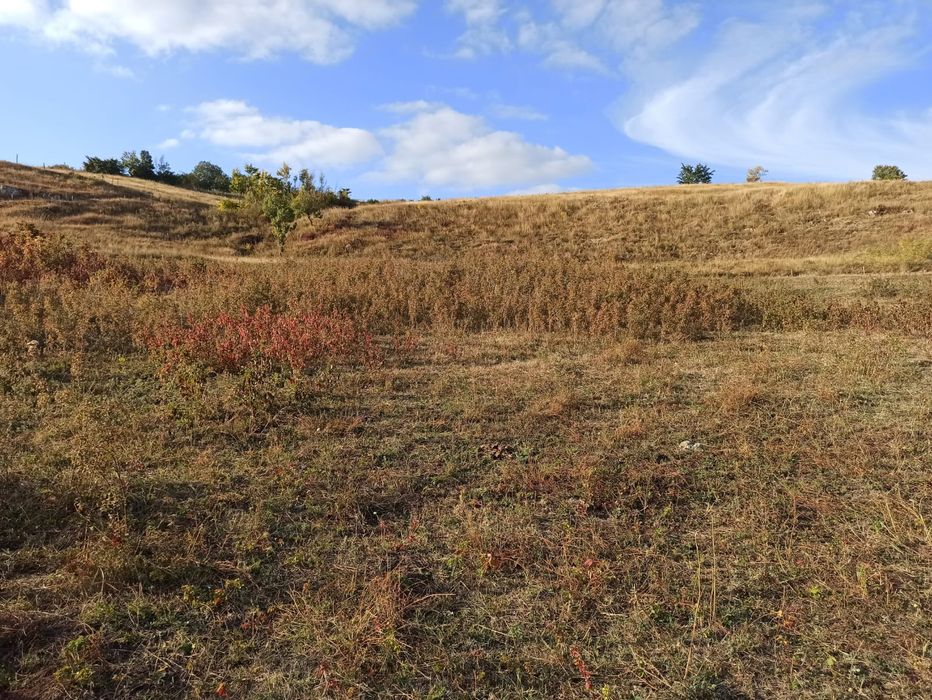Terenuri in extravilan