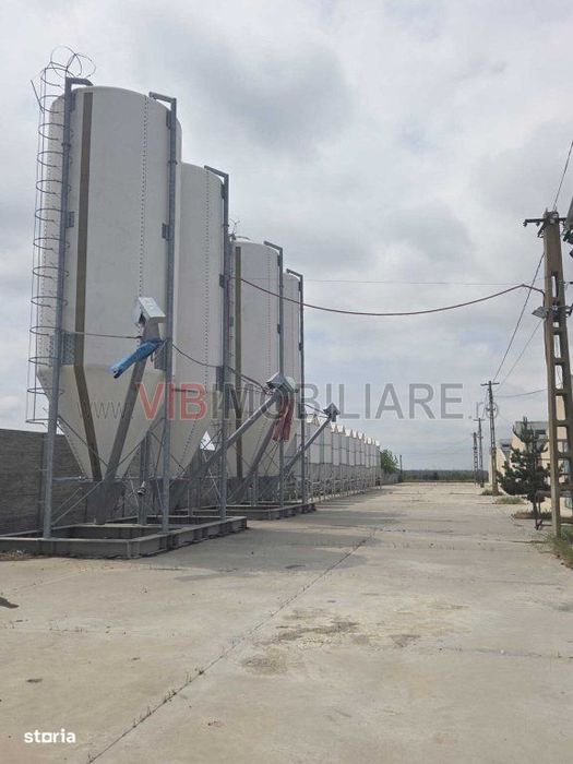 *Fermă modernă pentru export miei | 6 ha | Standarde europene | Aproap