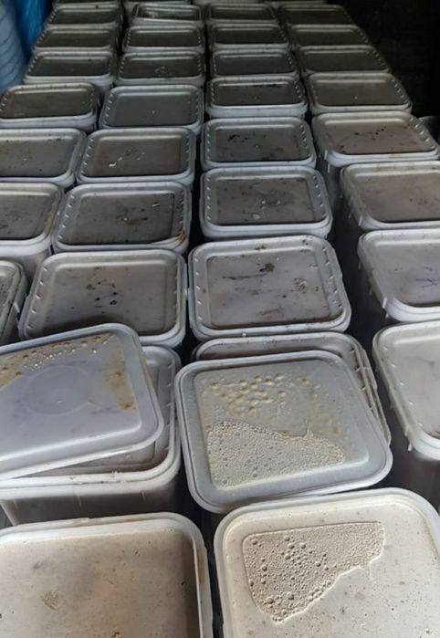 Мед   натуральный