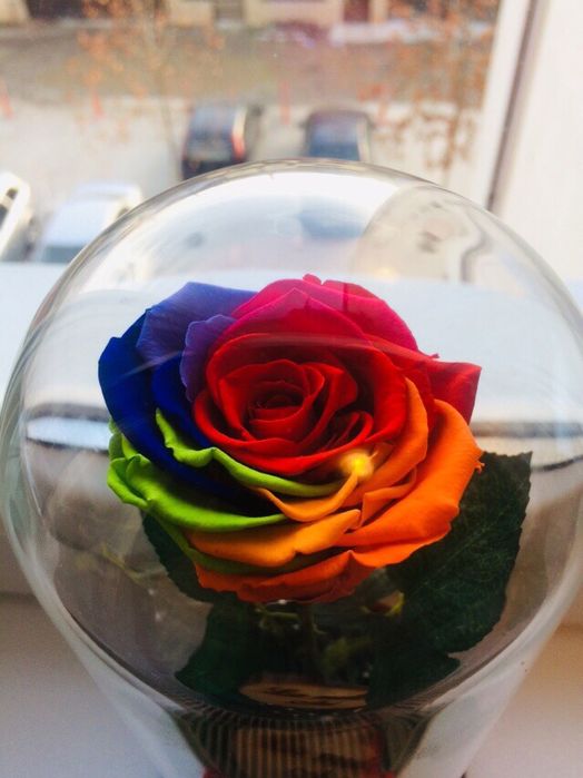 Cadou criogenat ideal pt orice aniversare