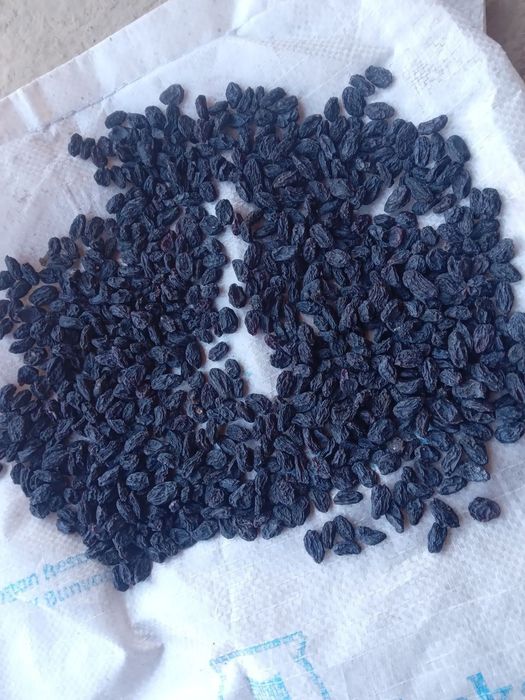 Mayiz Gegant Soyaki Kunaki kanditr har hil turdagi mayizlar katta abyo