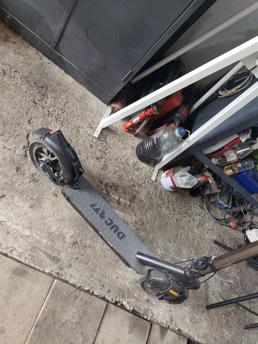 Ducati pro 2 plus