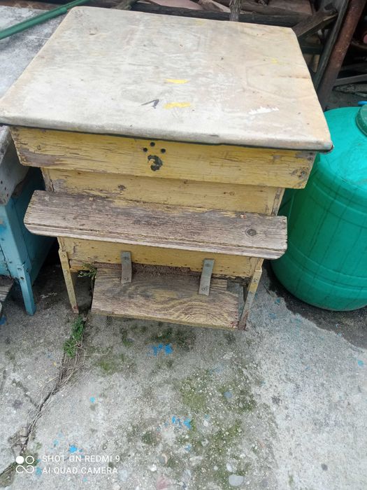 Пчелни кошери дадан блат