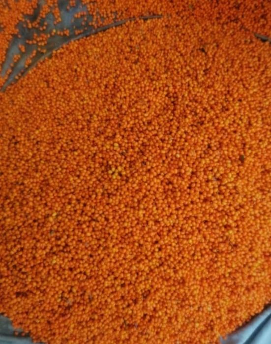 Vând cătină proaspătă în cantități mari