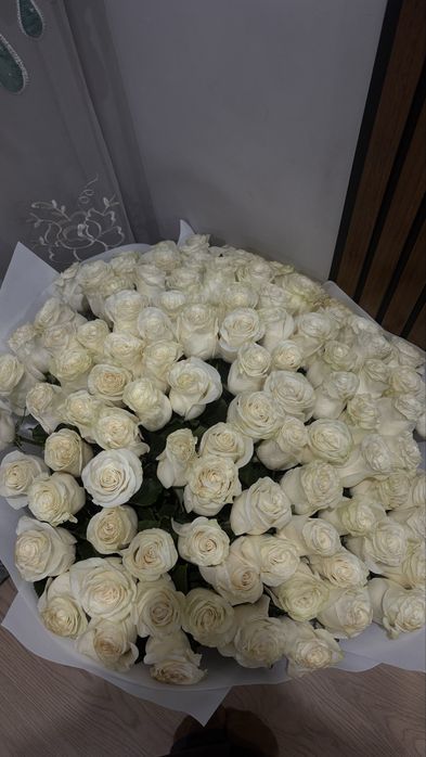 101 белый Голландские розы