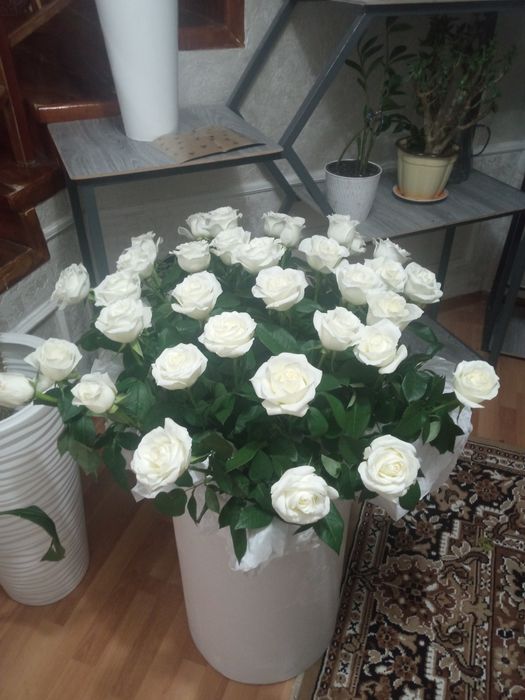 Свежие Розы 51 шт