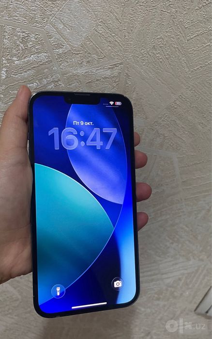 Iphone 13 pro max 1 tb