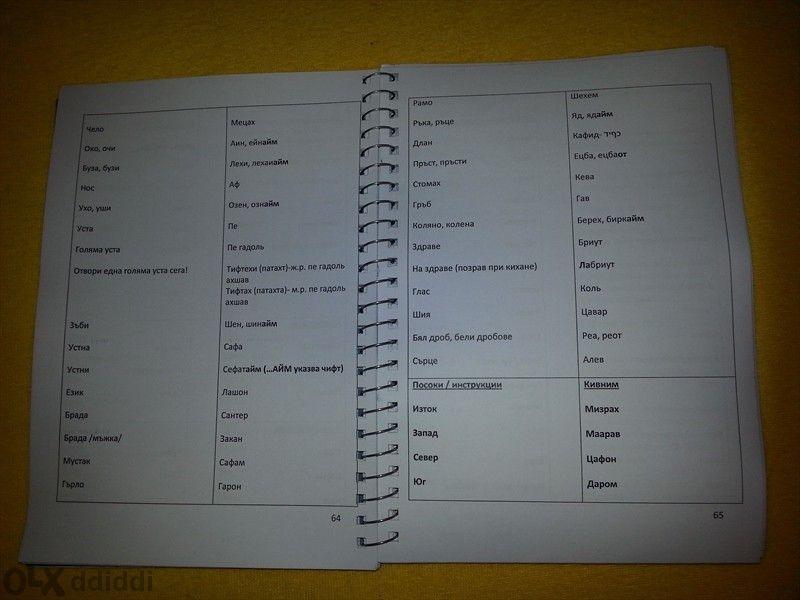 Кратък Българско- Ивритски Разговорник Кратка Граматика - В PDF файл