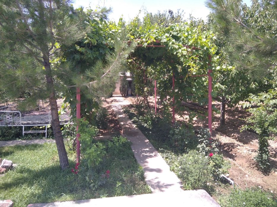 Дача Сотилади , пискент район 12сотих ! Хамма шароитлари бор