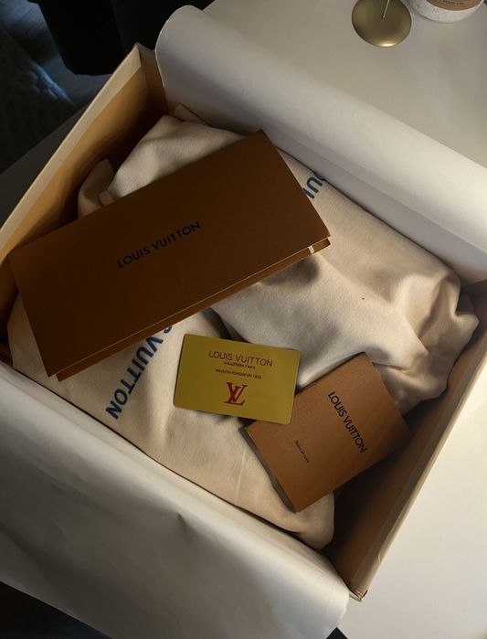Lv skates gri louis vuitton