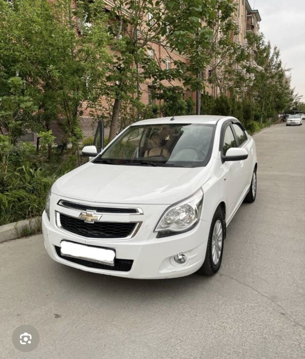 suhoy arenda Cobalt 2025 stayl