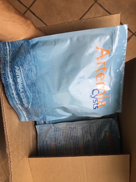 Oua de Artemia umeda si koral -incubare hrana pesti exotici de acvariu