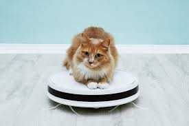 Ремонт роботов пылесосов