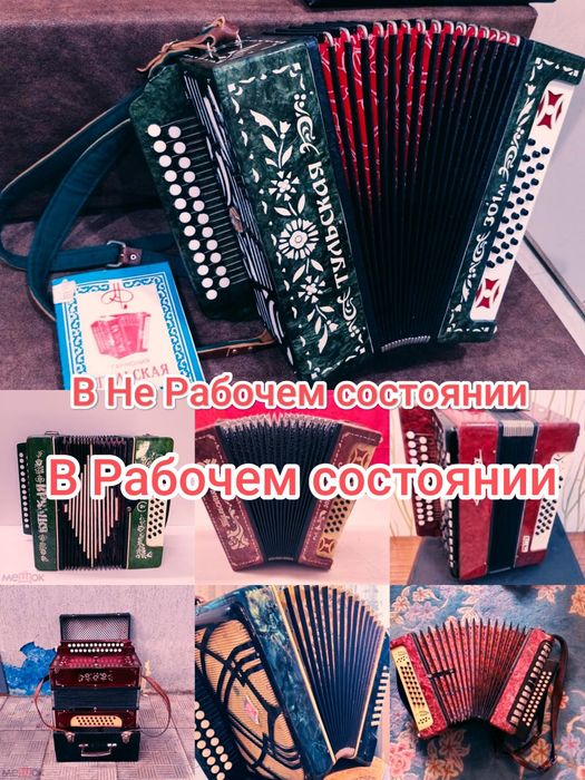 Гармонь Гармошка