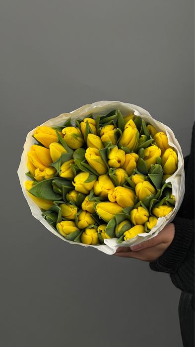 Продам тюльпаны