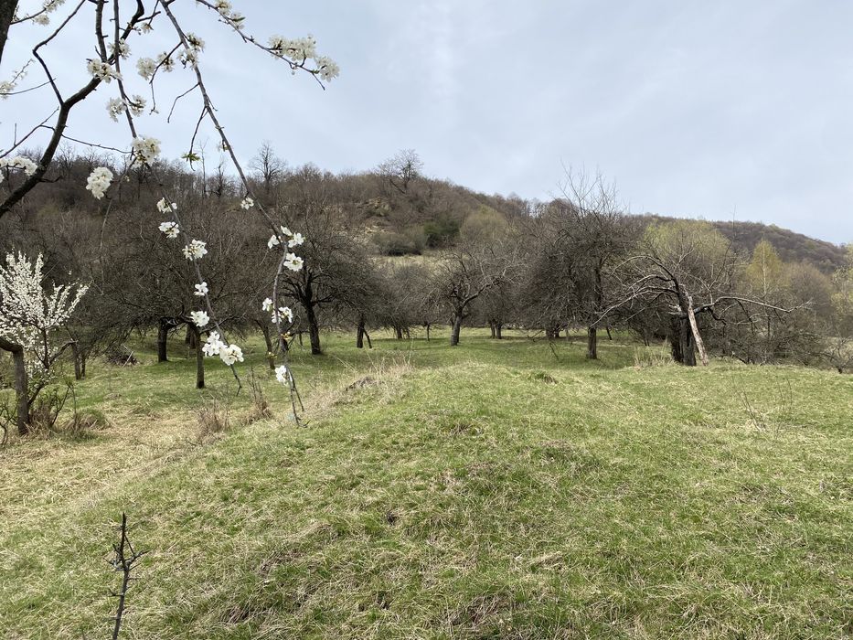 Teren intra/extravilan