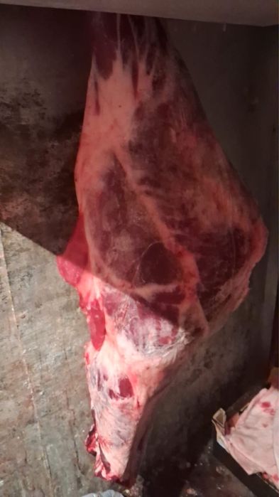Продам ляжки говядины