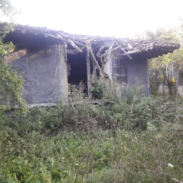 Продава се Къща в Елена - 1100 кв.м за 41 €/кв.м - Снимка #8