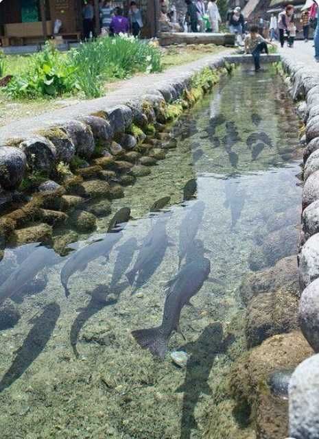 Пленка для бассейнов и водоемов (Плотность 300 мкм и 400 мкм)