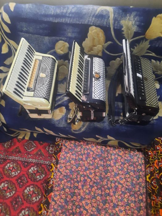 Аккордеоны разные