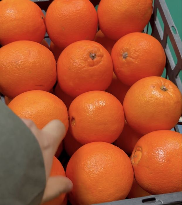 Мандарины свежие,сладкие