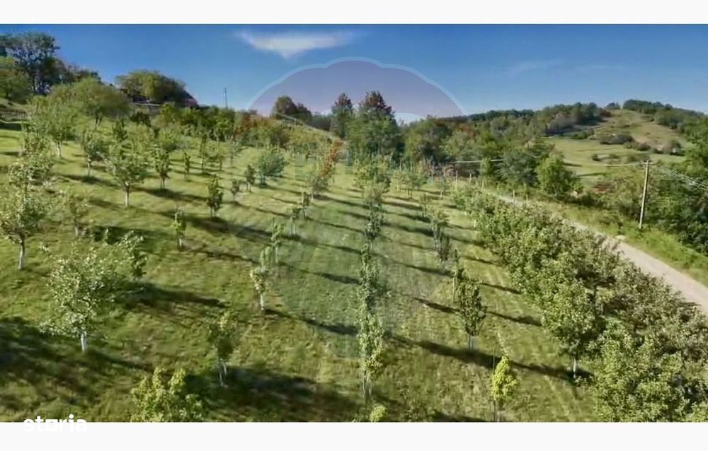 Teren 20.170mp | Livada | Suncuius, Bihor