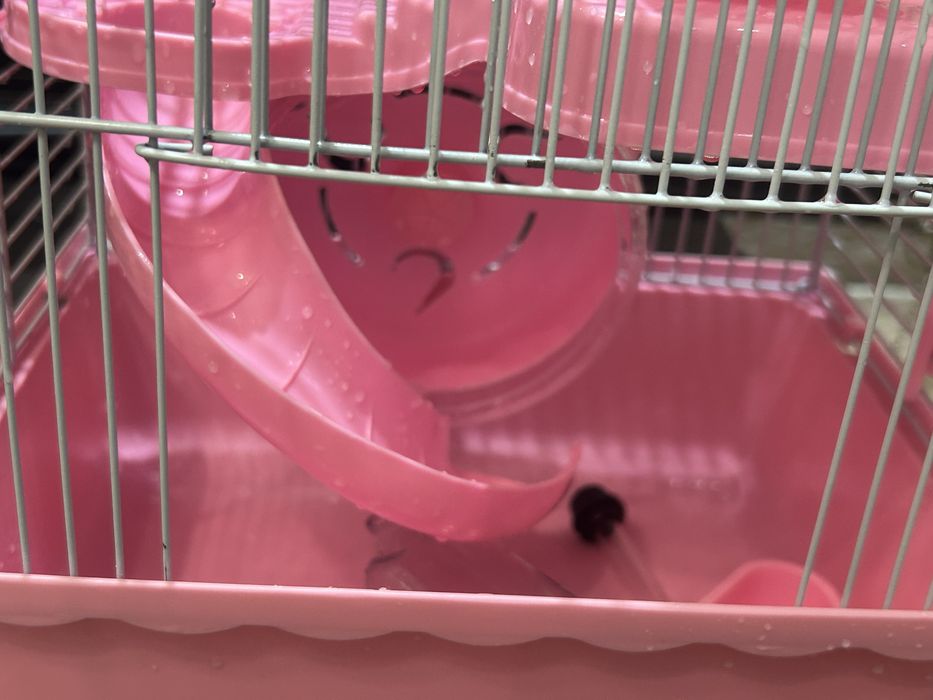 Клетка для хомяка