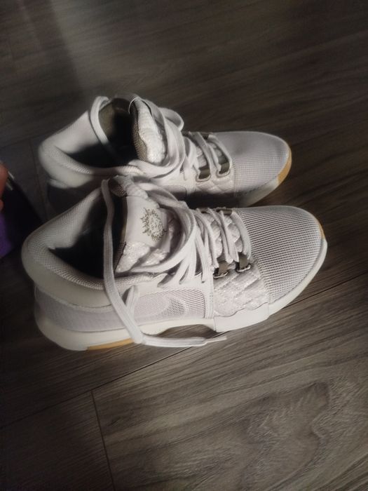 Lebron witness VII