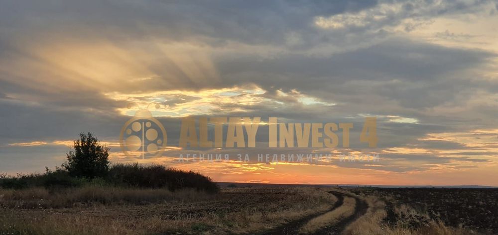 Продава се Парцел в с. Осеново, Област Варна - 8500 кв.м за 20 €/кв.м - Снимка #2