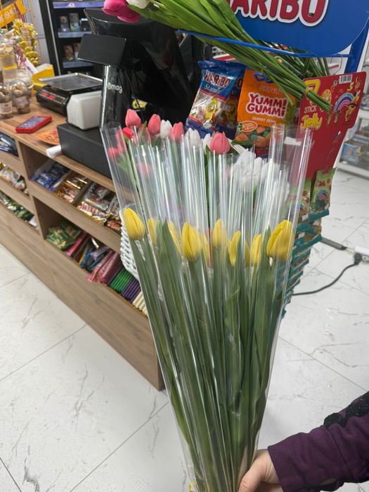 тюльпаны оптом 700тг!