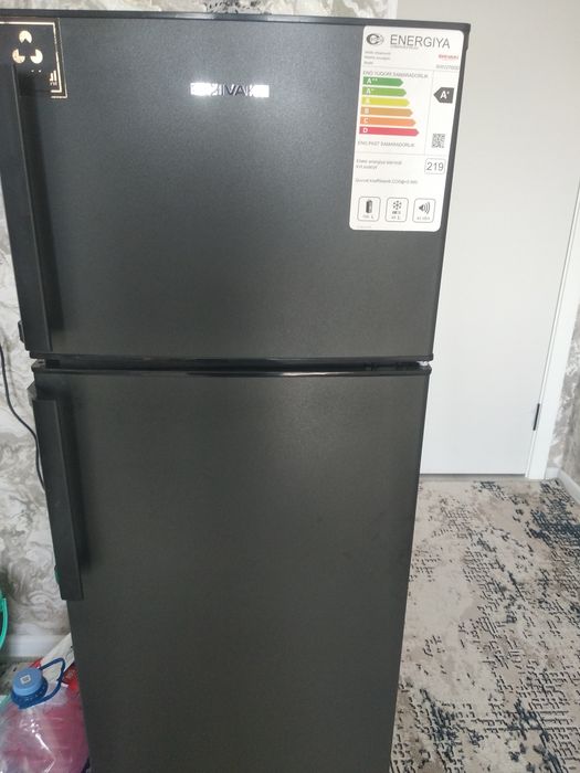 Uzoq muddatga ijara qizlarga it