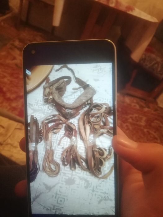 Продам сбруя и 2 седла