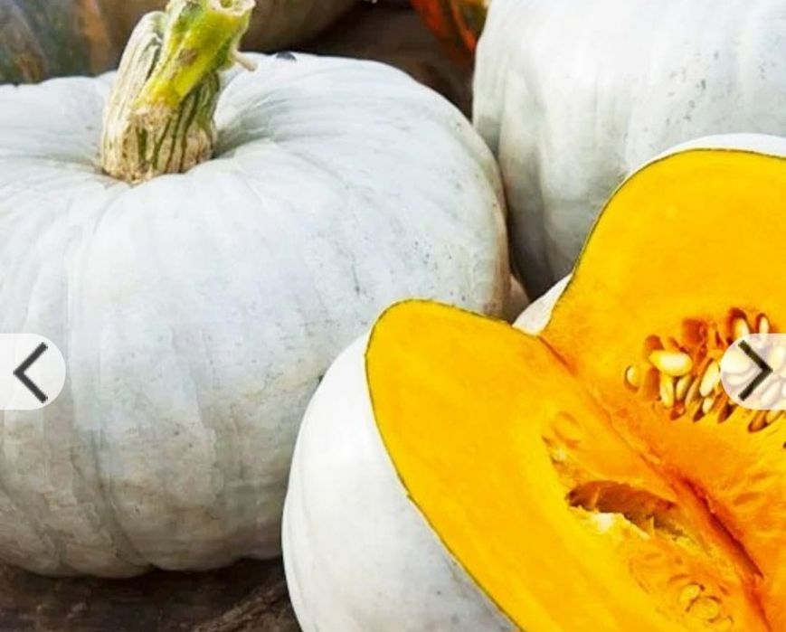 Саженцы персика, узбекские, сорт "Самарканд".