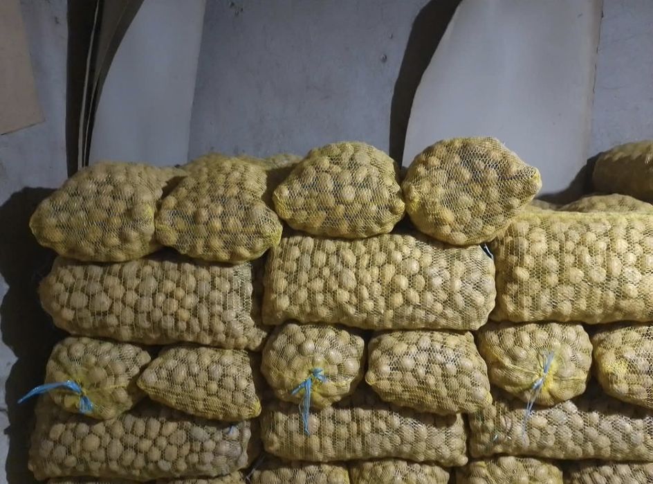 Семена за картофи