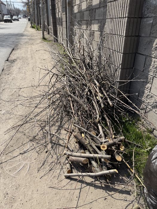 Отдам яблоневые дрова